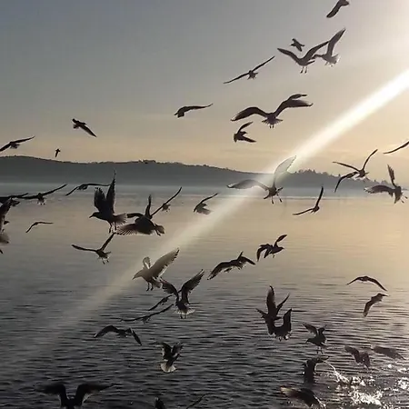 La Perla Sul Lago Apartamento *